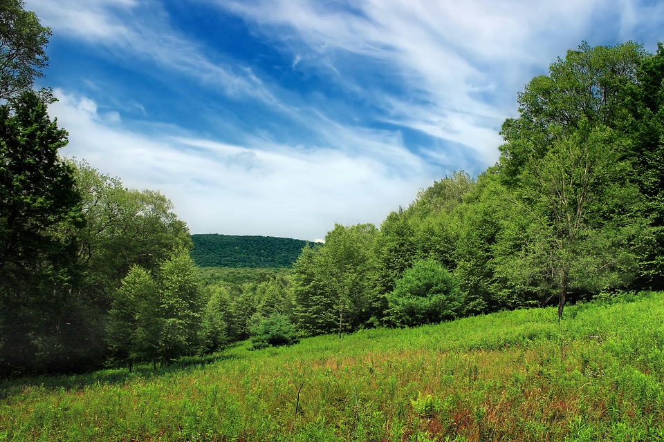 Agriculture blue sky cloud