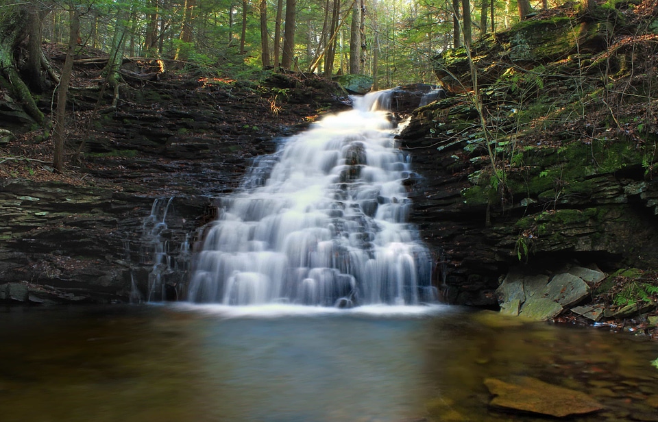 Beautiful Photo creek daylight
