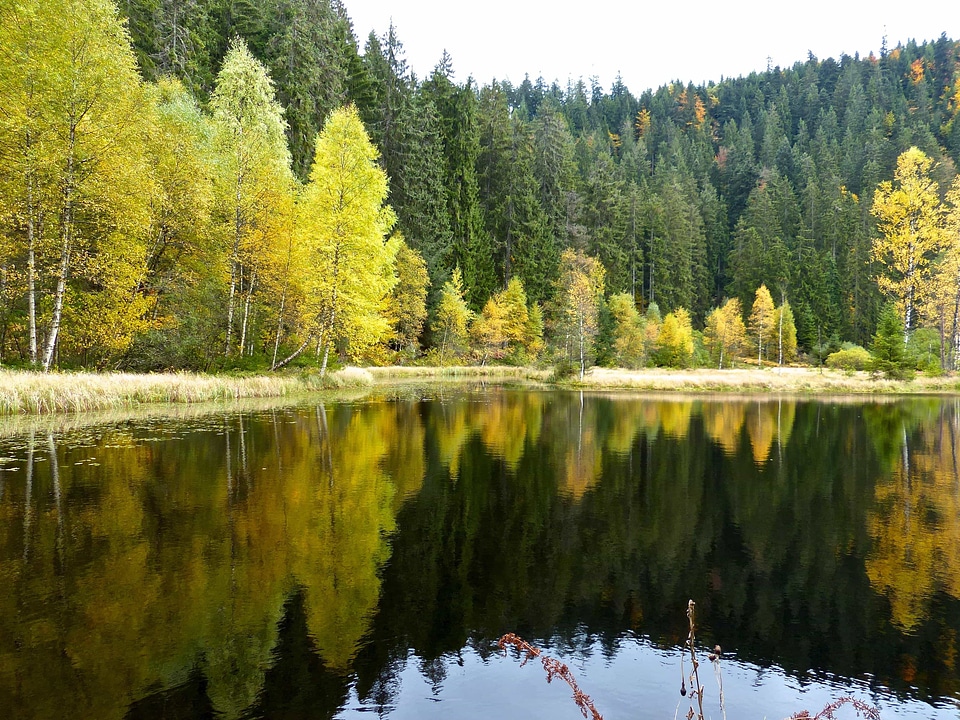 Autumn cloud coast