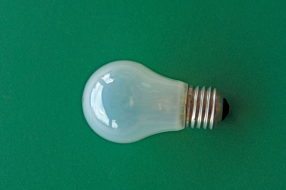 Bulb dark green detail photo