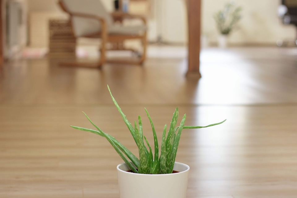 Daylight floor indoor