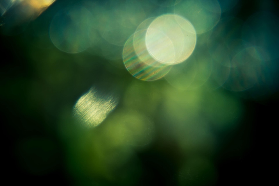 Abstract dark dark green