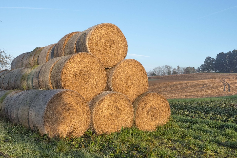 Agriculture autumn circle