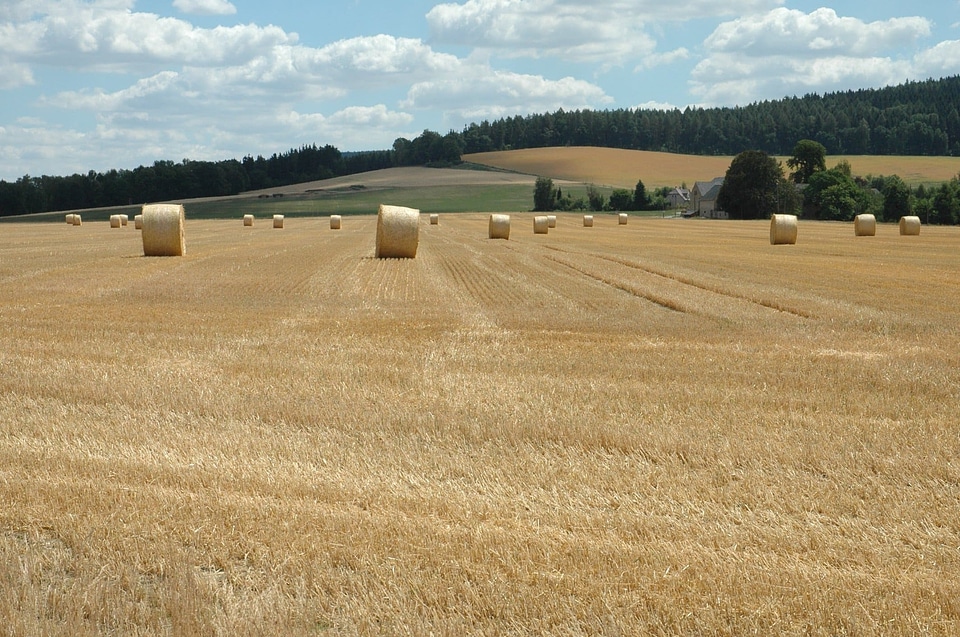 Agriculture autumn cloud