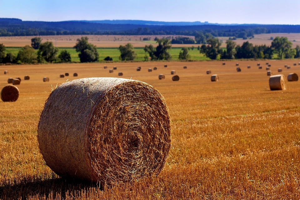 Agricultural agriculture autumn