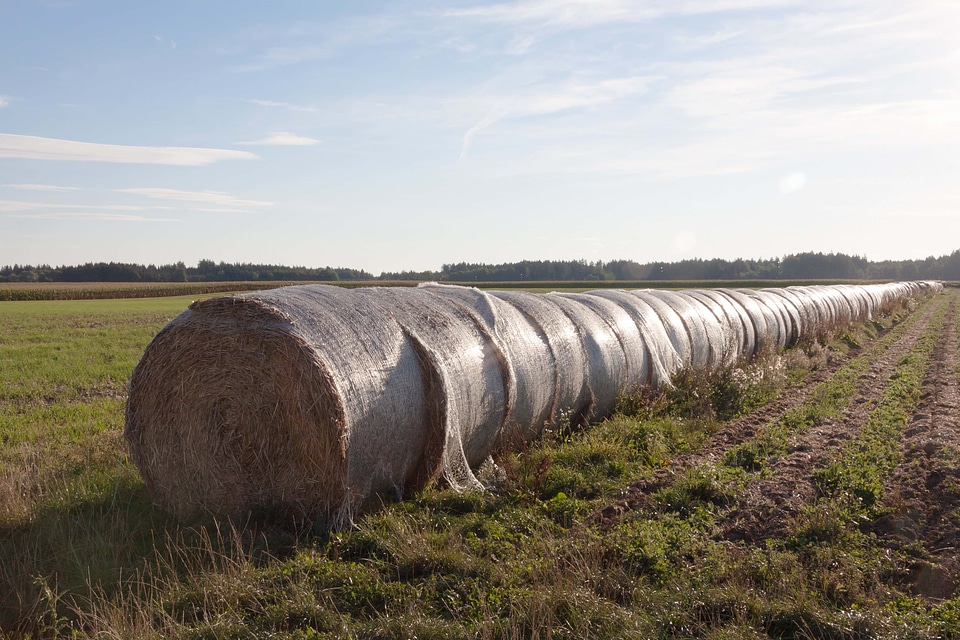Agricultural agriculture autumn