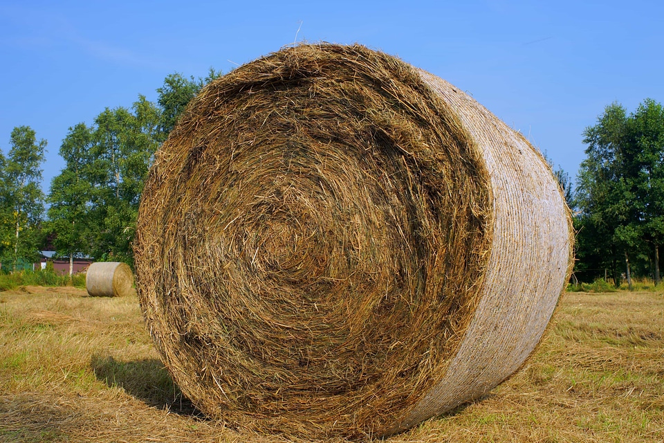 Agricultural agriculture blue sky