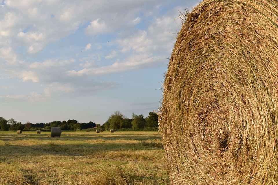 Agricultural agriculture autumn