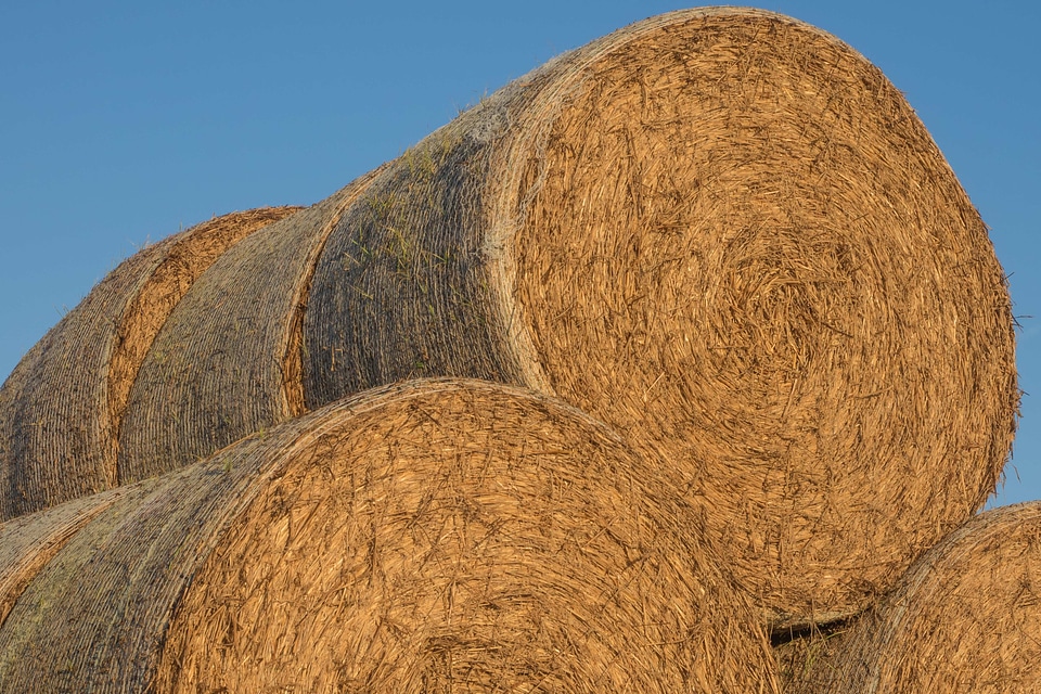 Agriculture architecture autumn