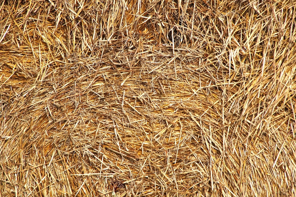 Abstract brown detail