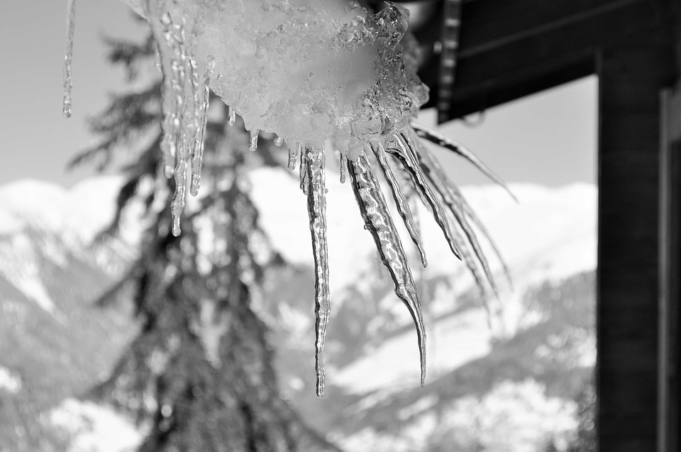 Black black and white cobweb