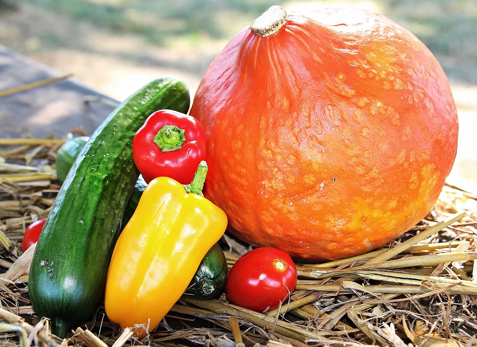 Beautiful Photo bell pepper calorie photo