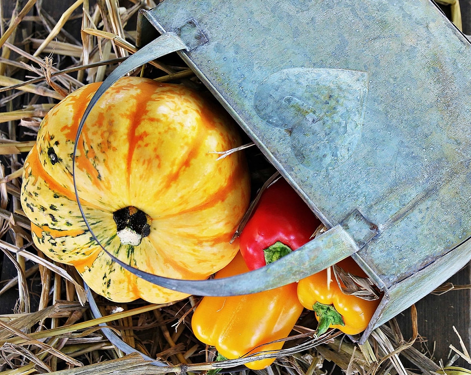 Autumn autumn season bag