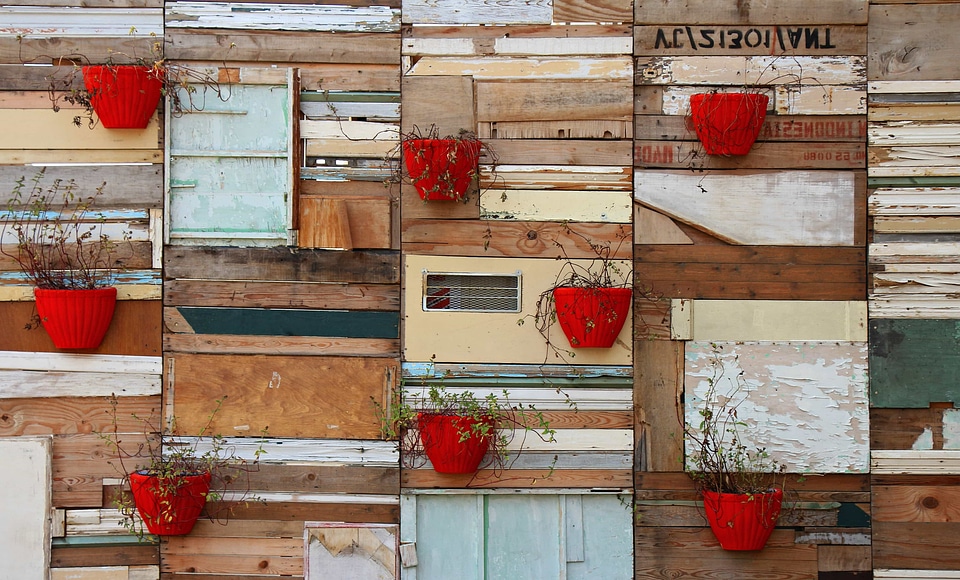 Beautiful Flowers box daylight