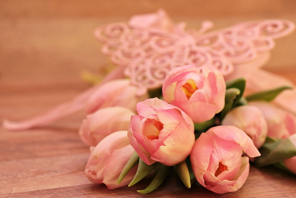 Beautiful Flowers blooming blossom