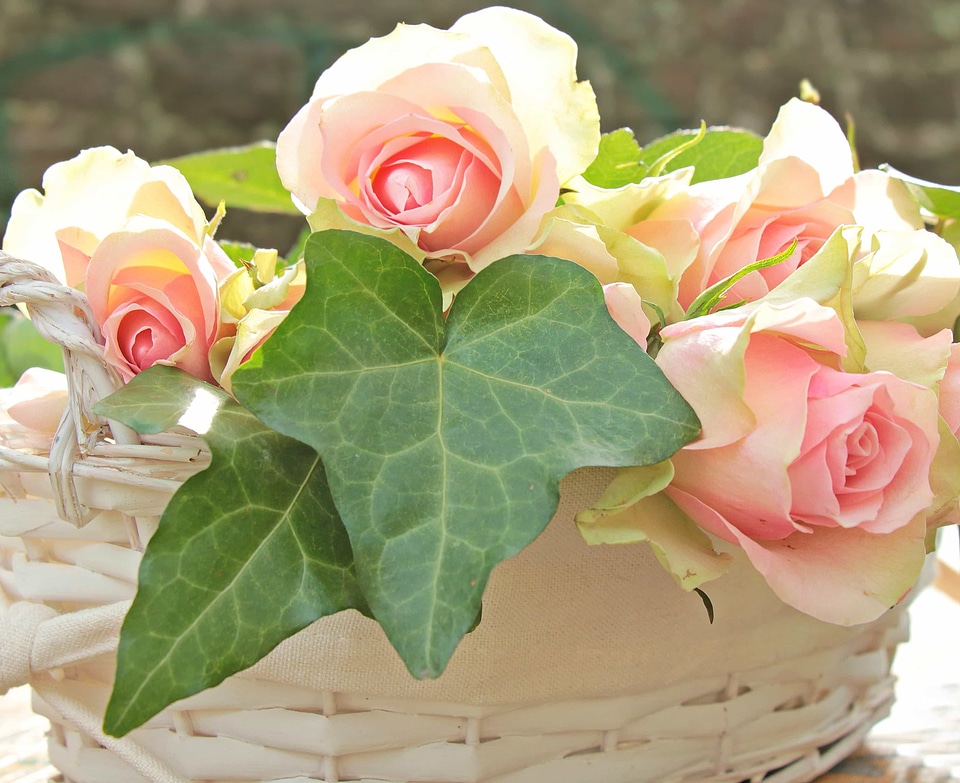 Arrangement beautiful flowers blooming