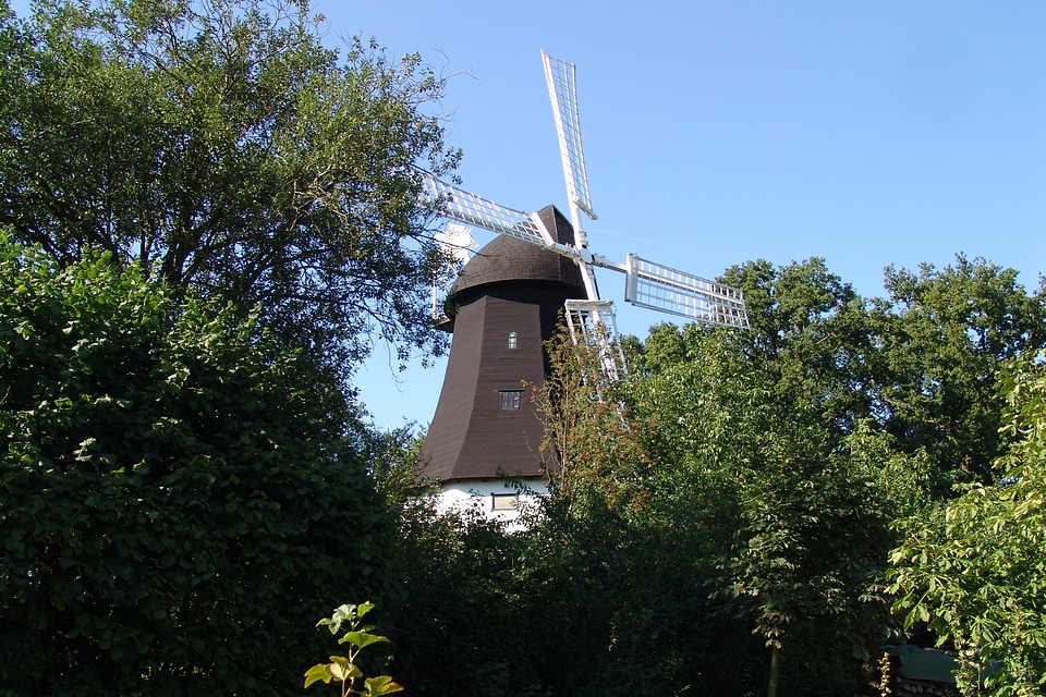 Nature landscapes lüneburg heath
