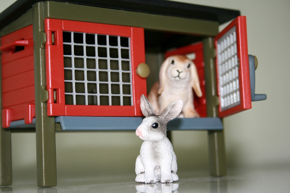 Stall easter bunny rabbit
