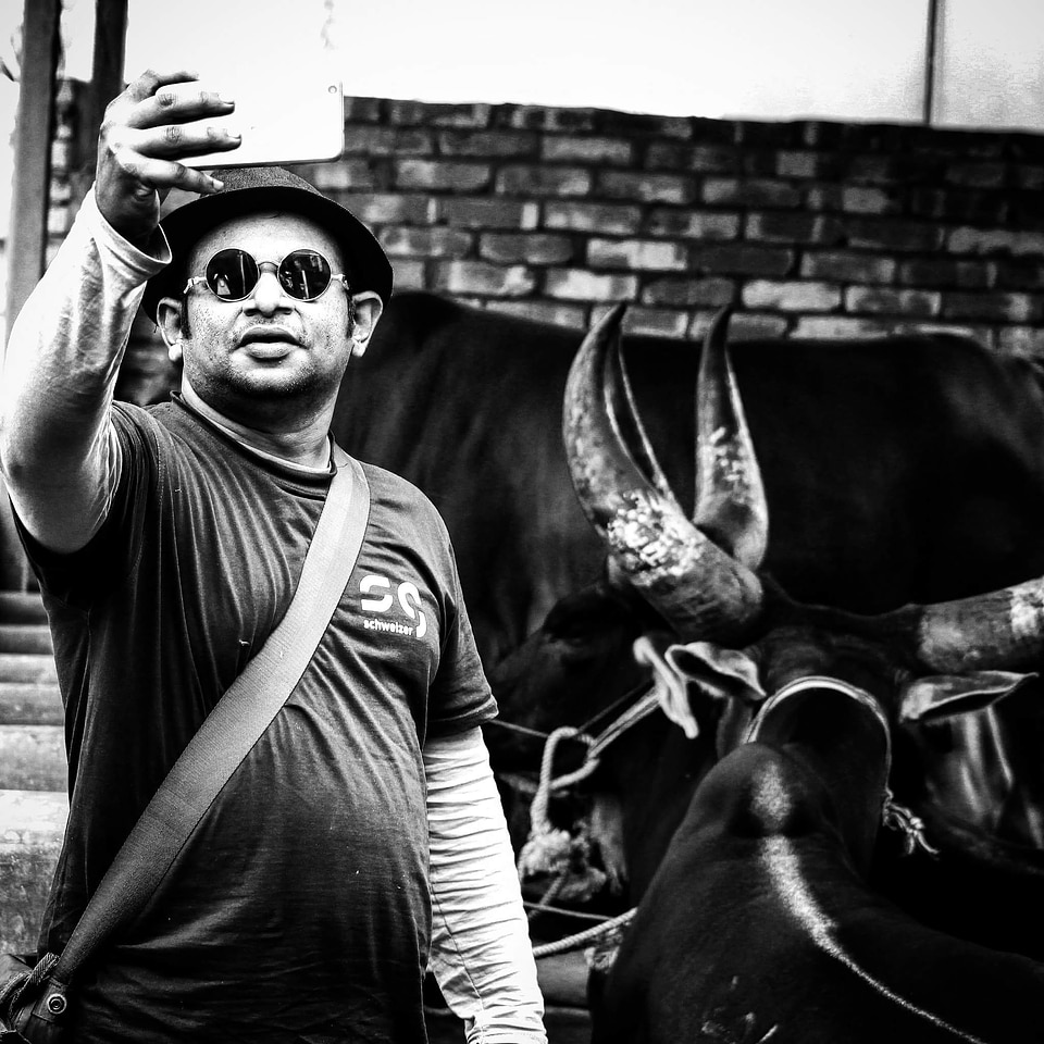 Big Horn black black and white