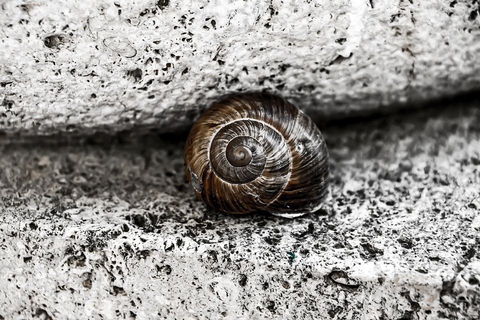 Stone spiral brown
