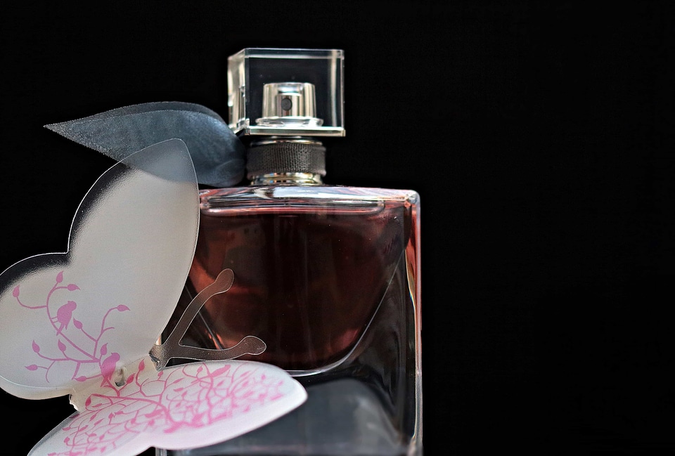 Beautiful Photo bottle butterfly