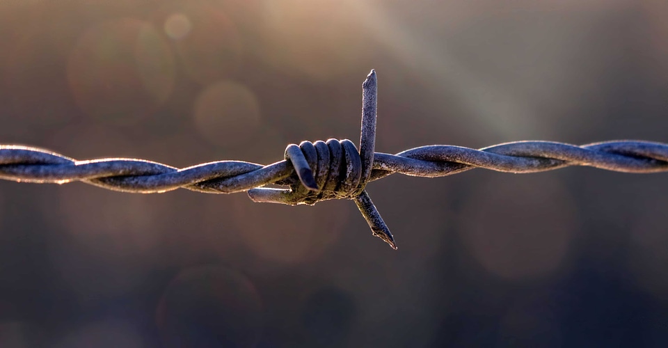 Barbed Wire daylight fence