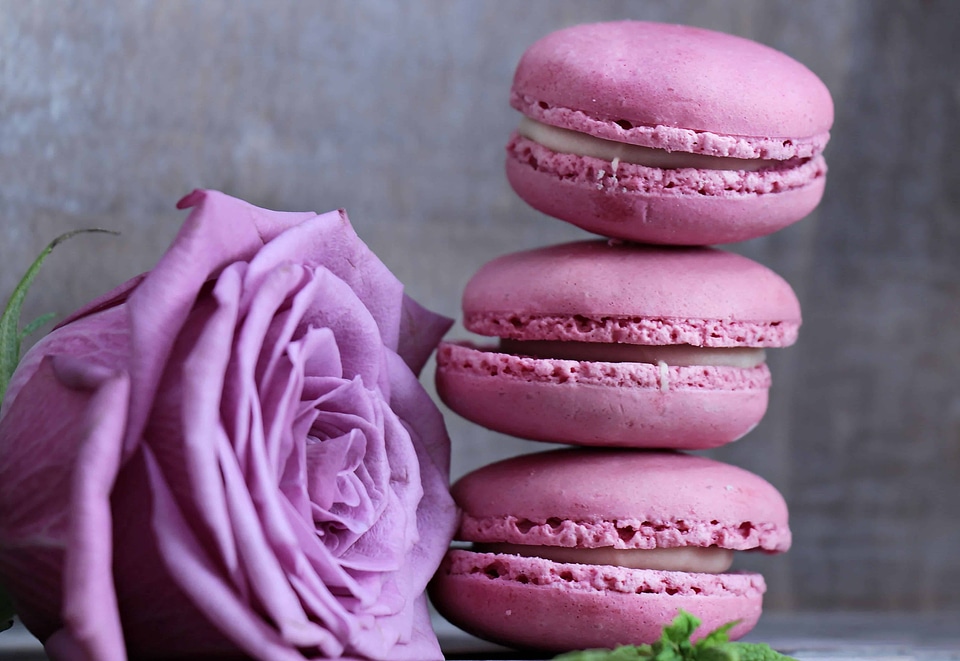Beautiful Flowers beautiful photo biscuit