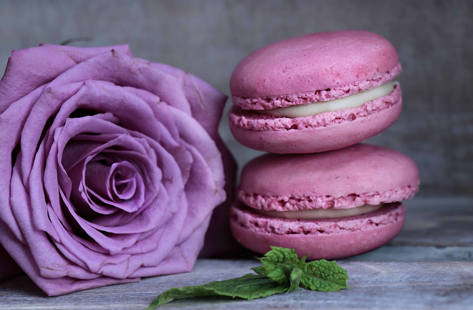 Beautiful Flowers beautiful photo biscuit