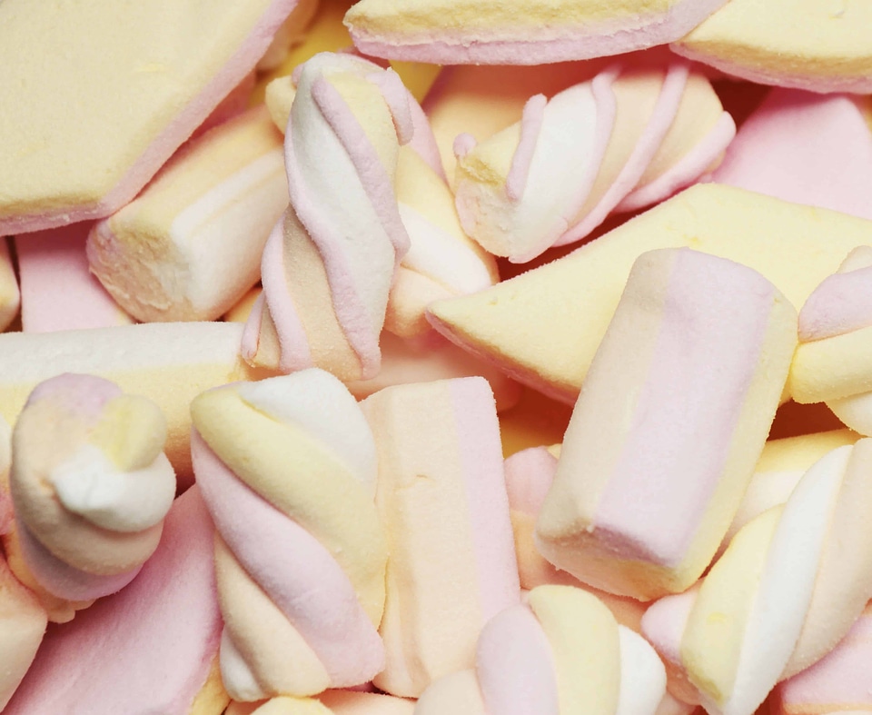 Calorie colorful delicious