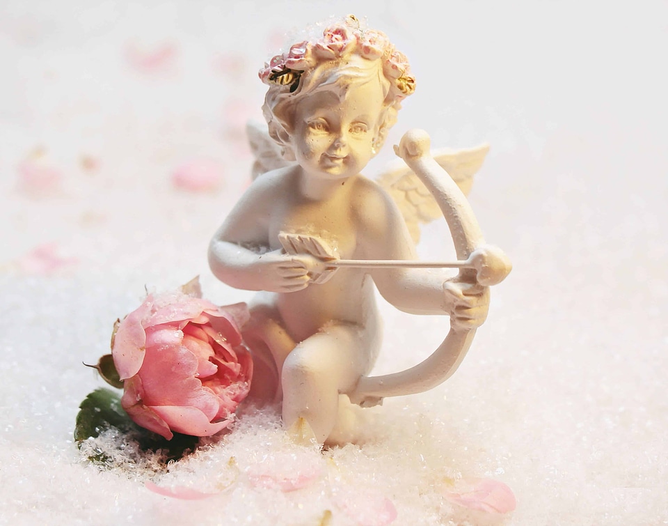 Angel beautiful flowers blooming