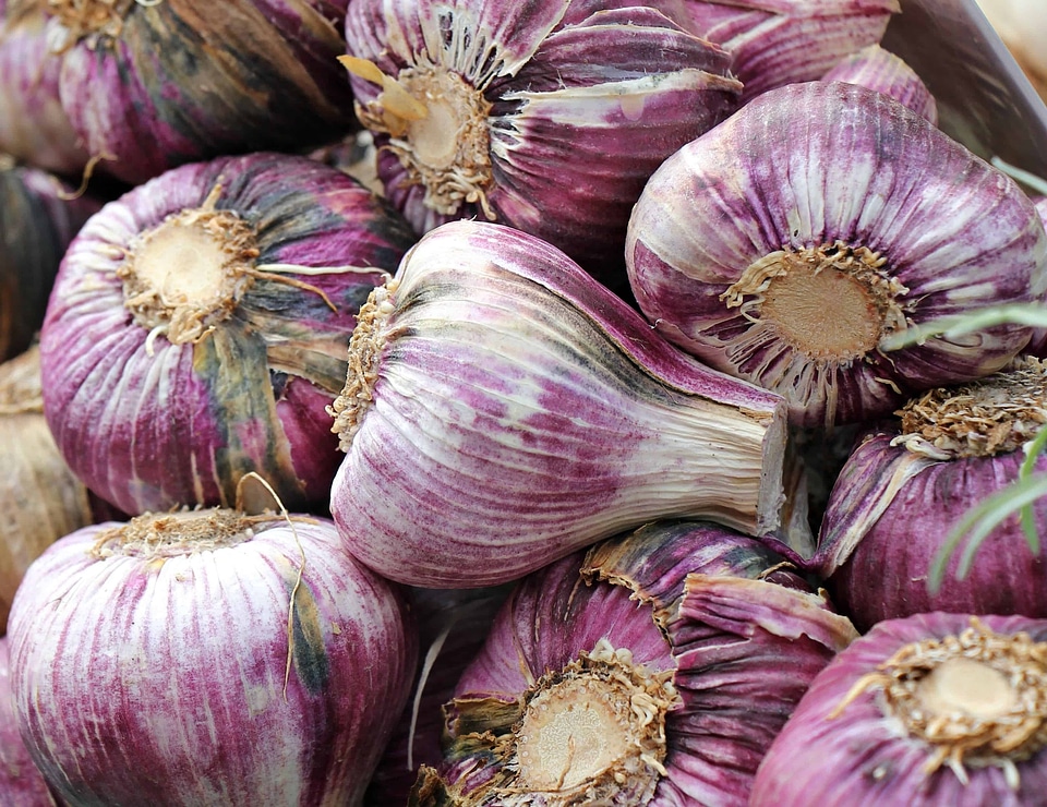 Agriculture beautiful photo calorie