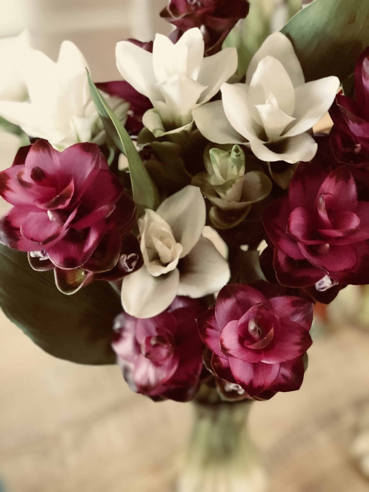 Arrangement beautiful beautiful flowers