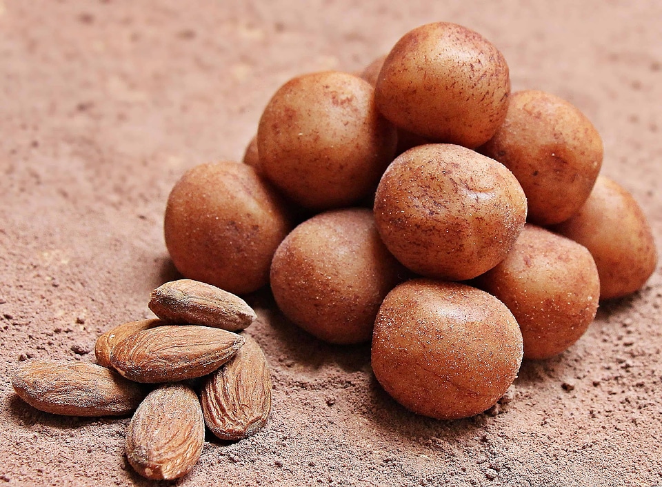 Almond beautiful photo brown