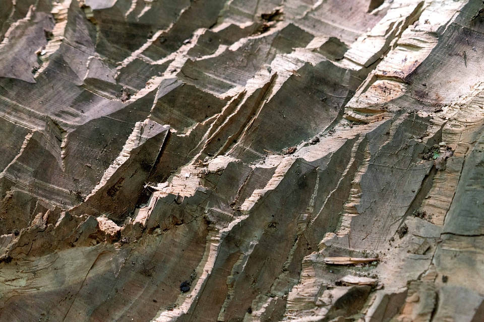 Abstract brown nature