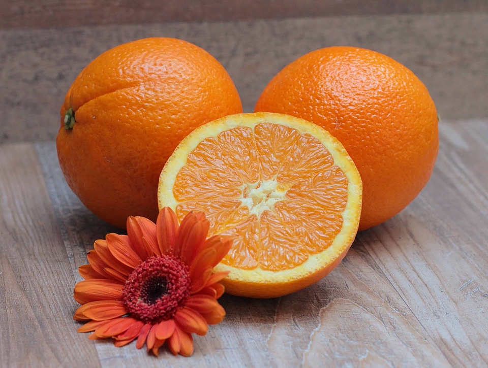 Beautiful Photo citrus decoration