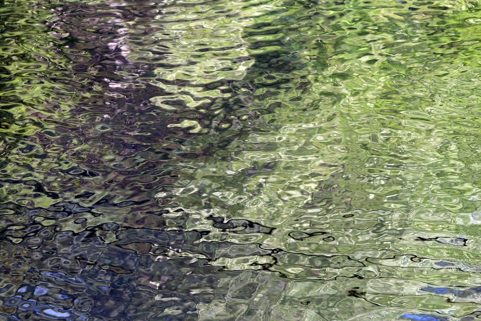 Abstract aquatic ecology