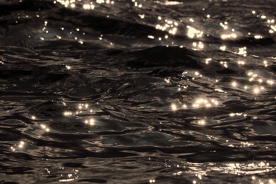 Dark horizon monochrome