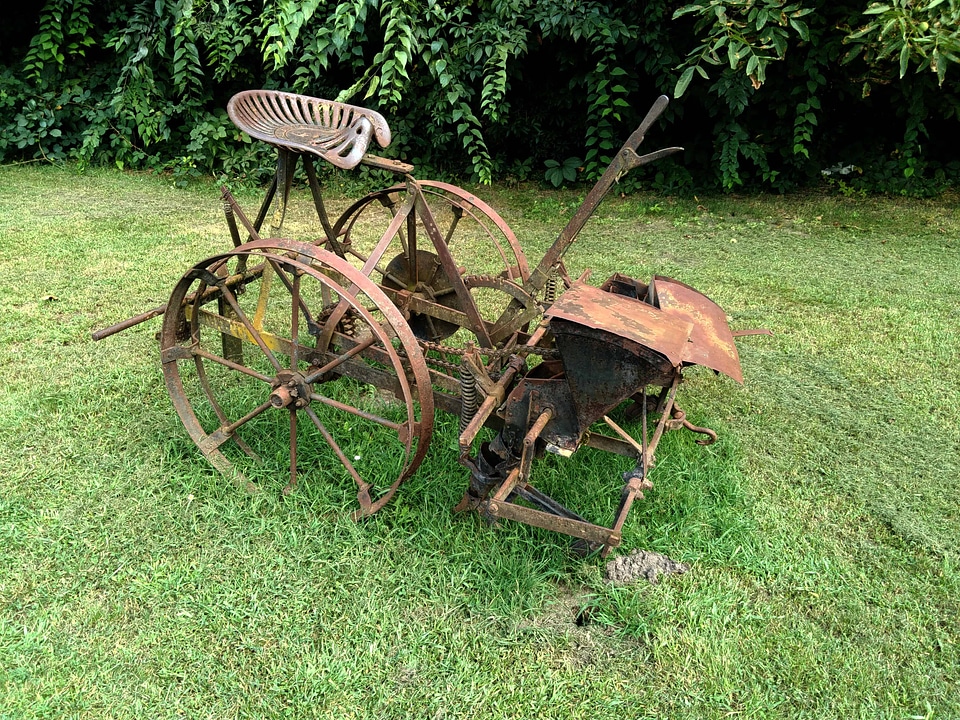 Carriage cart flora