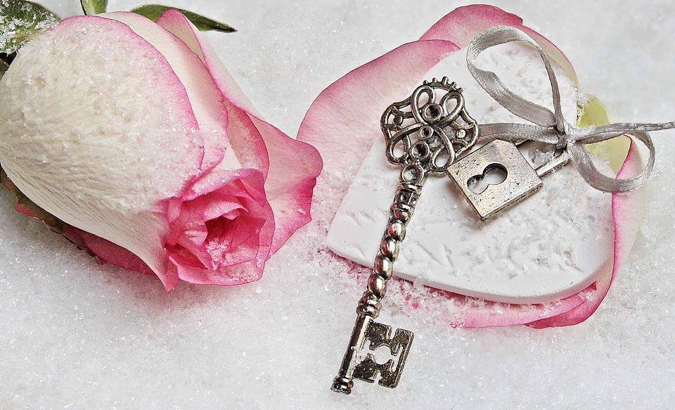 Accessory beautiful flowers beautiful photo