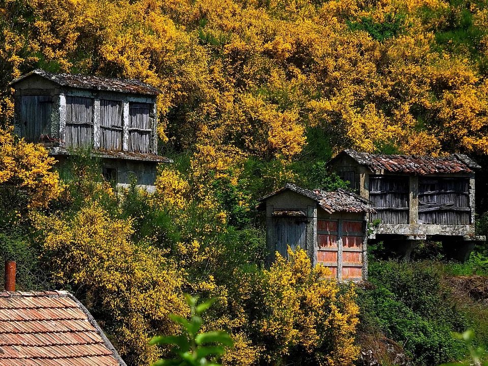 Architecture autumn barn