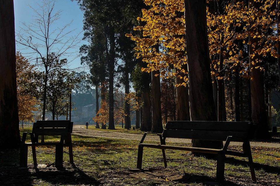 Autumn backlight beautiful photo