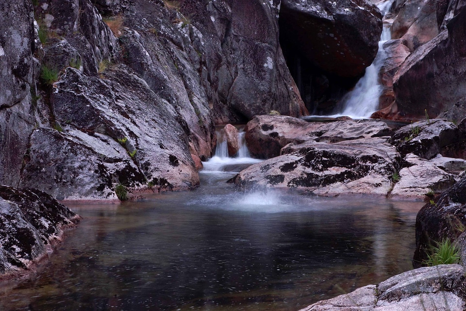 Creek environment forest
