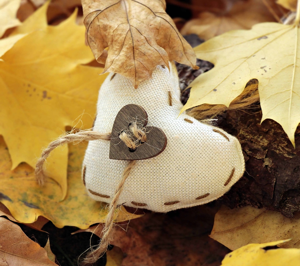Autumn autumn season cloth