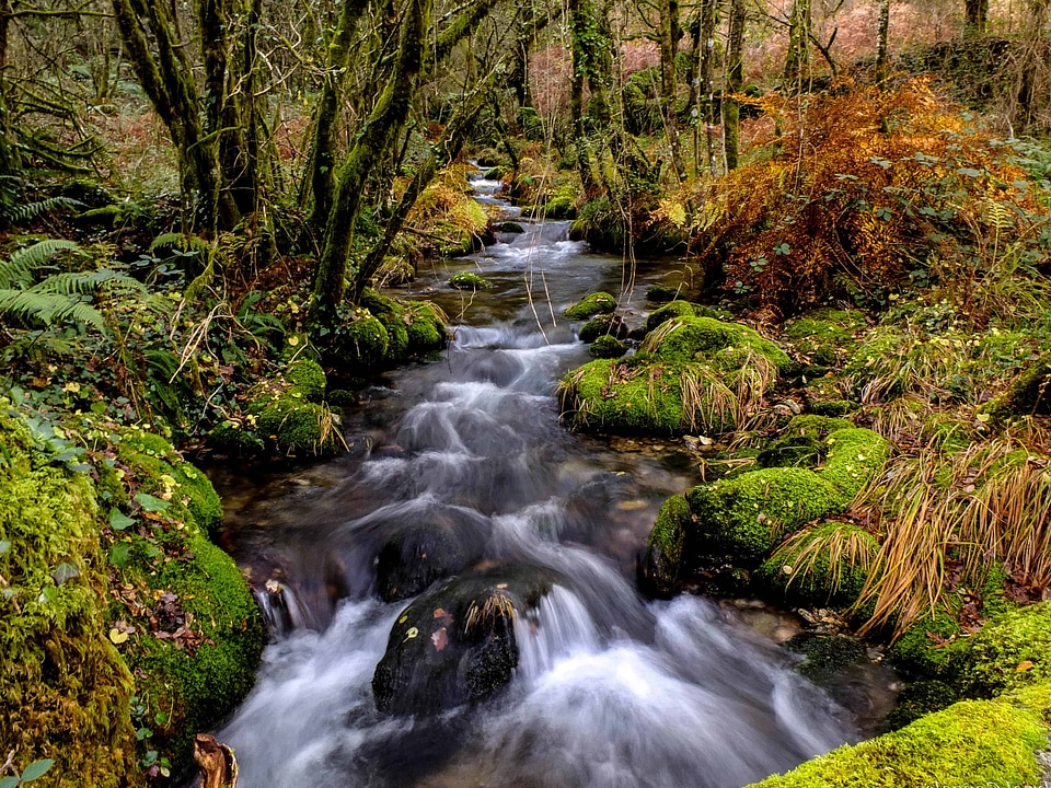 Beautiful Photo big rocks creek