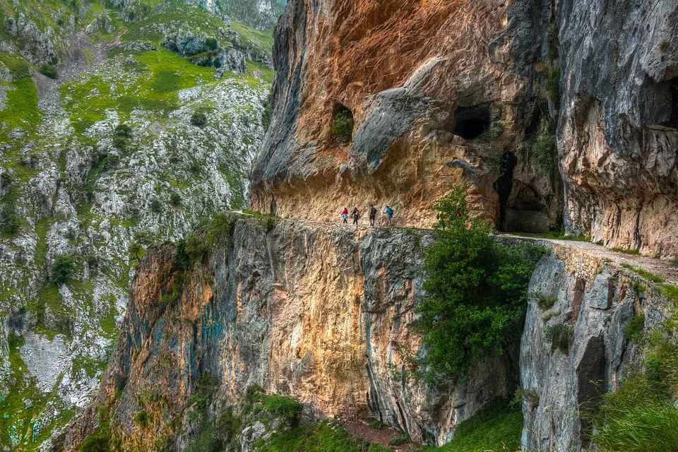 Canyon cliff environment
