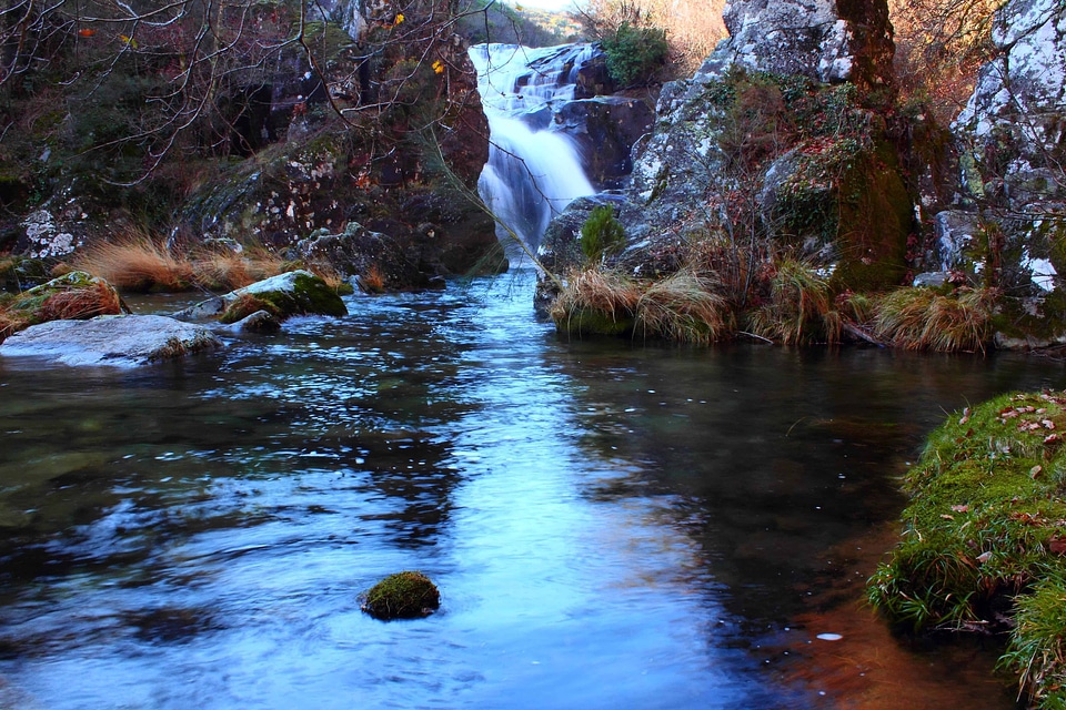 Branch creek ecology