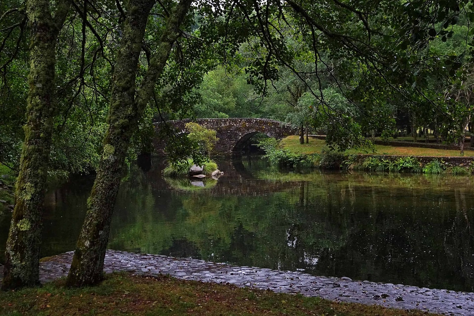 Birch branch bridge