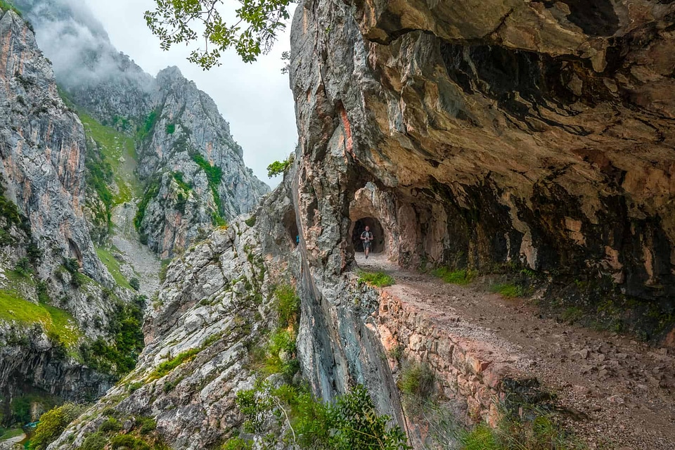 Branch canyon cloud
