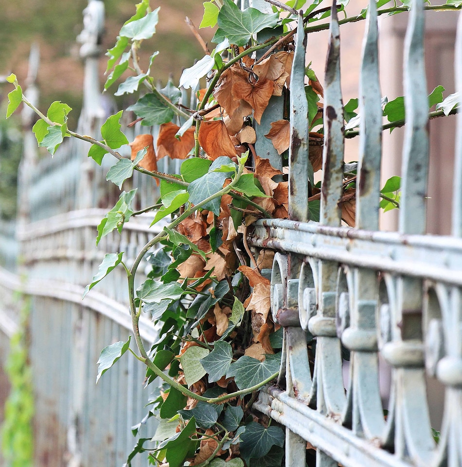 Cast Iron daylight fence