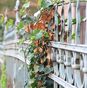 Cast Iron daylight fence